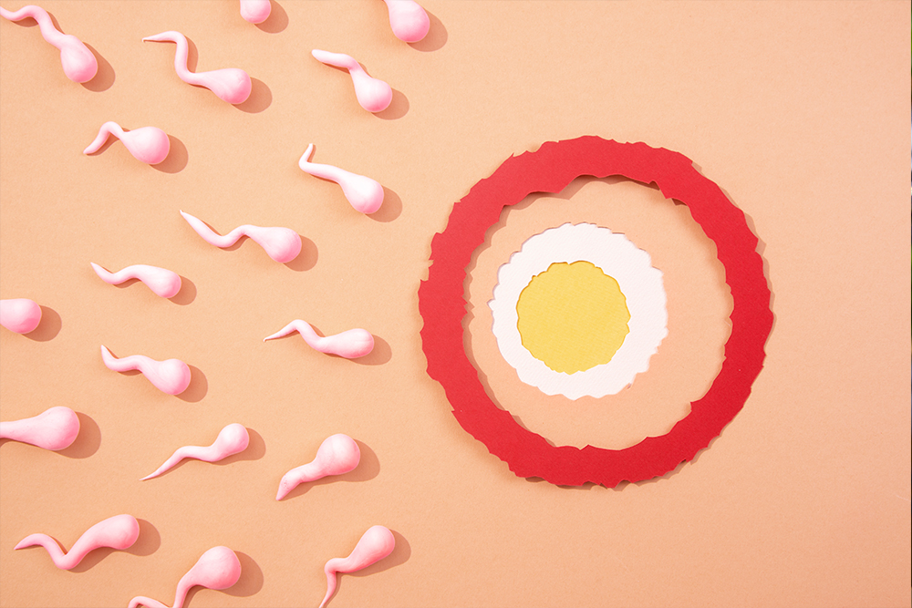 Spermiogram Testi Hakkında Bilinmesi Gerekenler